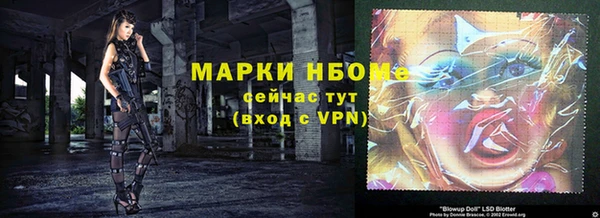 прущие грибы Медногорск