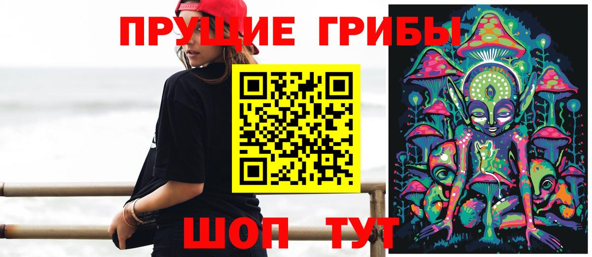 где купить   Галлюциногенные грибы Magic Shrooms  Вход с VPN  Новошахтинск 